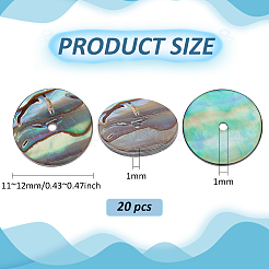 20 Stück natürliche Paua-Muschelperlen&nbsp;SSHEL-BC0001-31