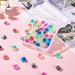 Кабошоны из смолы 60шт 6 цветов&nbsp;MRMJ-TA0001-42