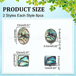 16 шт. 2-цветные бусины из натуральной ракушки абалон/ракушки пауа BSHE-WR0001-01