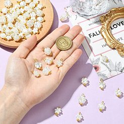 70 шт. 7 стиля акриловых подвесок с имитацией жемчуга&nbsp;PALLOY-CJ00172