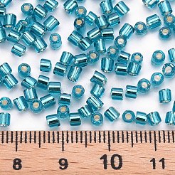 8/0 Glasstiftperlen&nbsp;SEED-S032-07A-51A