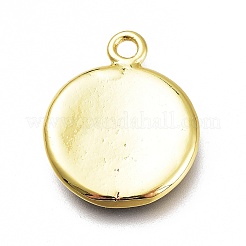 Латунь эмаль подвески&nbsp;KK-H103-02I-G