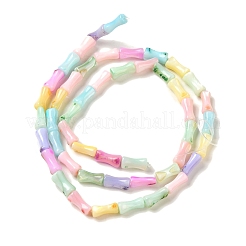 Нити бусин из натуральных пресноводных ракушек&nbsp;X1-SHEL-G018-02C