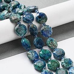 Натуральный кунжут яшма / киви нитки бусины яшмы G-NH0004-004