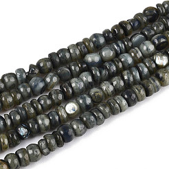 Натуральные пресноводные окрашенные бусы из ракушек SHEL-T020-29A