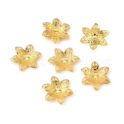 6-лепесток железа шарик шапки&nbsp;IFIN-WH0070-07G