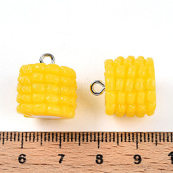Pendentifs en fer et résine&nbsp;LS-RESI-T057-23