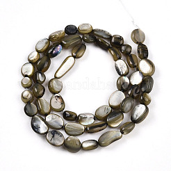 Нити бусин из натуральной белой ракушки SHEL-N036-21A