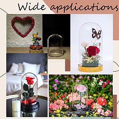 Стеклянный купол&nbsp;AJEW-CP0005-62B