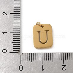 Ciondoli in acciaio inossidabile 304&nbsp;LS-STAS-R001-01G-U