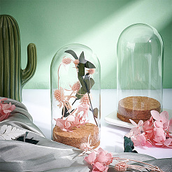 Стеклянный купол AJEW-PH0004-19B