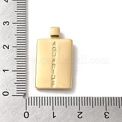 304ステンレスペンダント  星座のある長方形  14KGP本金メッキ  水瓶座  25x14x2mm  穴：2mm&nbsp;X-STAS-L022-306G-11