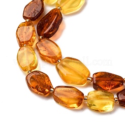 Нити бусин из натурального янтаря градиентного цвета G-F803-E01-01