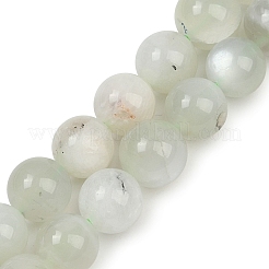 Нити бусин из натурального зеленого лунного камня G-NH0060-A01-01