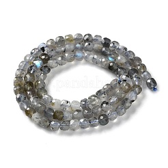 Perline labradorite naturale fili&nbsp;G-M421-B02-01