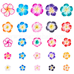 50шт 5 стиля ручной работы из полимерной глины 3d цветок плюмерия бусины CLAY-TA0001-68