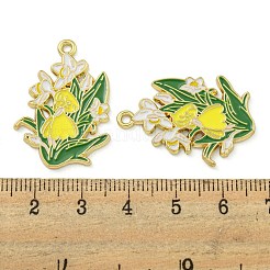 Подвески из эмали и сплава&nbsp;FIND-Z049-01G-A