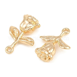 Pendentifs en alliage&nbsp;AL-CBA83D5-14G
