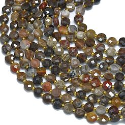 Природные окаменелое дерево бисер пряди G-K389-B33-01