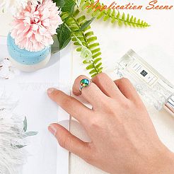 Регулируемые кольца для пальцев из нержавеющей стали 304&nbsp;STAS-L193-P-18mm