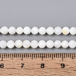 Нити бусин из натуральных пресноводных ракушек&nbsp;SHEL-N038-32