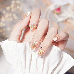 48 шт. 12 стиля 12 созвездия сплава горный хрусталь подвески FIND-GL0001-49