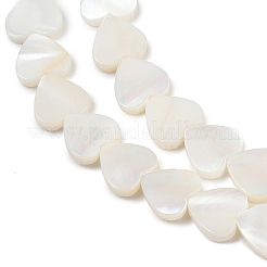 Нити бусин из натуральных пресноводных ракушек SHEL-K010-04