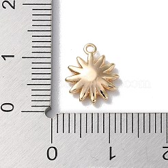 Стеклянные подвески&nbsp;KK-F867-25G