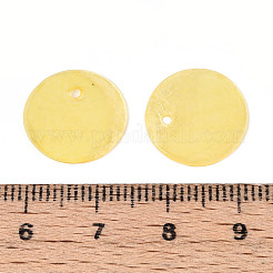 Шармы-диски из натуральной ракушки капиз X1-BSHE-T014-02G