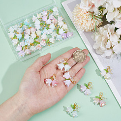 30 шт. 5-х цветная подвеска из смолы в виде розы и бабочки&nbsp;HJEW-GO00219