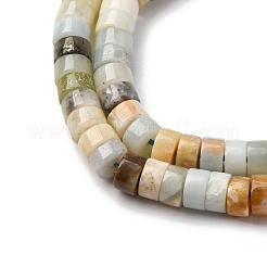 Brins de perles d'amazonite de fleurs naturelles&nbsp;LS-G-Z006-C49