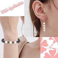 5шт натуральные белые бусины из ракушек&nbsp;BSHE-CJ0001-11