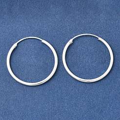 Orecchini a cerchio in ottone&nbsp;EJEW-G474-01S-04