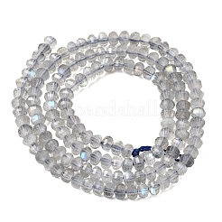 Natürliche graue Labradoritperlenstränge&nbsp;G-K376-I03-3x4mm