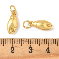 Подвески из морской латуни&nbsp;KK-K364-23A-G