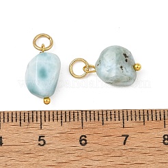 Natürliche Larimar Anhänger&nbsp;PALLOY-JF05952