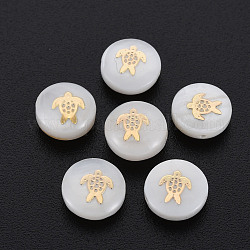 Perles de coquillages naturels d'eau douce, avec des ornements en métal en laiton doré, plat et circulaire avec tortue, couleur de coquillage, 8x3.5mm, Trou: 0.7mm