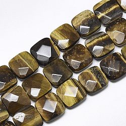 Natürlichen Tigerauge Perlen Stränge, facettiert, Viereck, 12x12x4.5~5 mm, Bohrung: 1 mm, ca. 17 Stk. / Strang, 8.0''