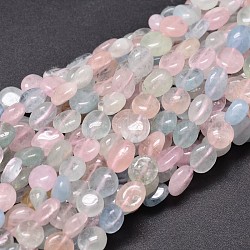 Morganite naturelle perles de puce brins, pierre roulée, 8~10x8~9mm, Trou: 1mm, environ 15.5 pouce