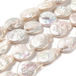 Fili di perle di keshi di perle barocche naturali, perla d'acqua dolce coltivata, grado 3 un, rotondo e piatto, vecchio pizzo, 21~30x19~20x4.5~8mm, Foro: 0.7 mm, circa 15pcs/filo, 15.55~15.87'' (39.5~40.3 cm)