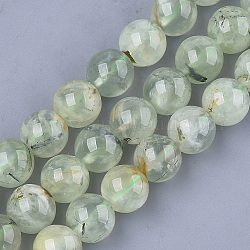 Chapelets de perles en préhnite naturelle, ronde, 12mm, Trou: 1mm, Environ 33~37 pcs/chapelet, 15.3 pouce