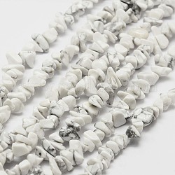 Perles de howlite naturelle brin, puce, blanc, 3~4x3~8x4~5mm, Trou: 0.4mm, 33.5 pouce