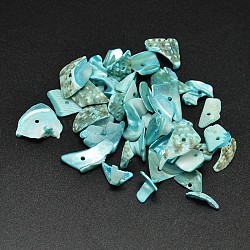 Perles de chips de pépites de coquillages naturels teints, turquoise moyen, 9~23x7~12mm, Trou: 1mm, environ 1150 pcs/500 g