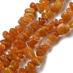 Natürliche gelbe Korn-Jade-Chip-Stränge, 5~8x5~8 mm, Bohrung: 1 mm, etwa 31.5 Zoll
