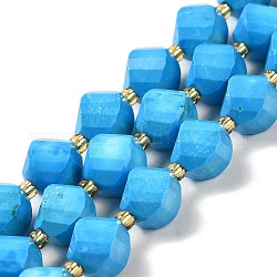 Perles de howlite naturelles teintes, avec des perles de rocaille, torsion facettes, bleu profond du ciel, 10.5x9x7.5mm, Trou: 1~1.2mm, Environ 32 pcs/chapelet, 15.43 pouce (39.2 cm)