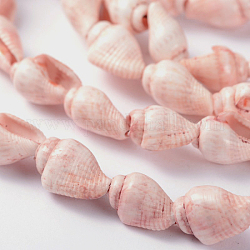 Naturali del mare filoni conchiglia perline, tinto, roso, 5~8mm, Foro: 2 mm, circa 150pcs/filo, 56.7 pollice