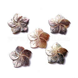 Natürliche schwarze Lippe Shell Anhänger, Sakura-Blumen-Charme, 31x32x3 mm, Bohrung: 1.8 mm