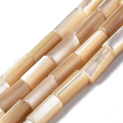 Нити бусин из натуральных трохоидных/трохус ракушек SSHEL-S266-020B-02-1