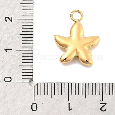 Ионное покрытие (ip) подвески из нержавеющей стали 304 STAS-P379-15G-G-1