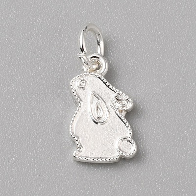 Charms in ottone&nbsp;FIND-WH0159-63S-21-1